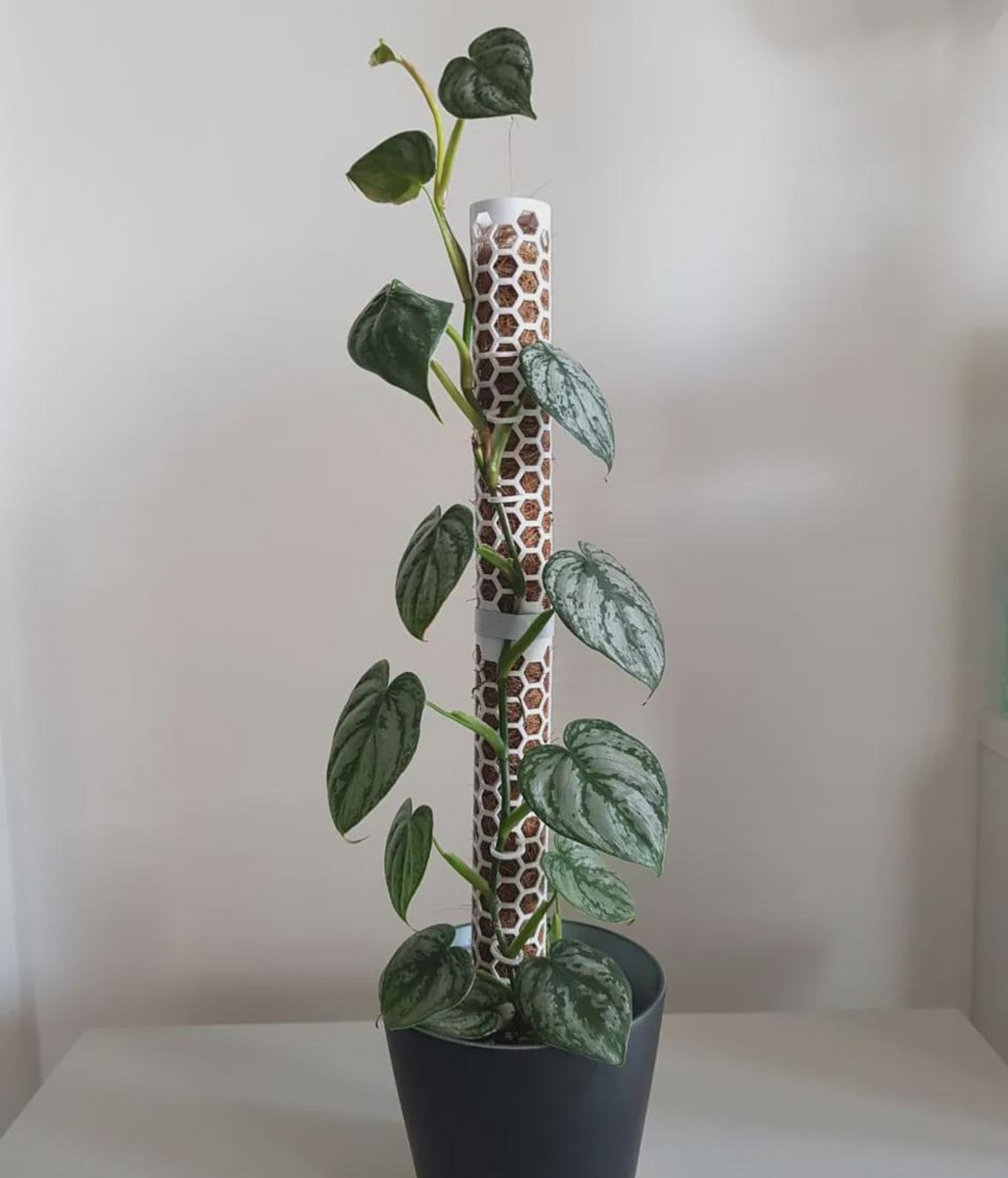 Modular Garden Stake