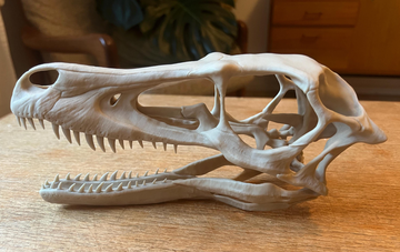DREAM CREATION 3D PRINTS